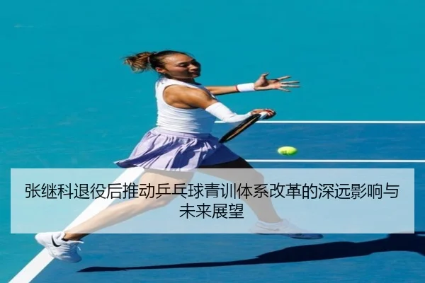 张继科退役后推动乒乓球青训体系改革的深远影响与未来展望